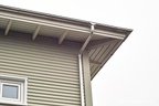IMG 12487