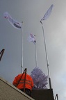 IMG 5157