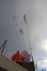 IMG 5156