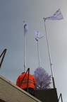 IMG 5160