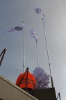 IMG 5159