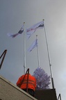 IMG 5158