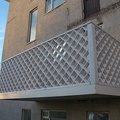 IMG 5192